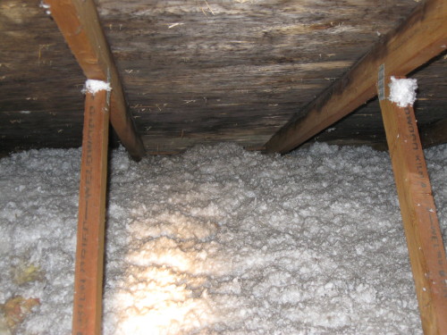 Mold Found in Attic on a Boise Home Inspection 